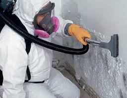 Reliable North Brooksville, FL Mold Prevention & Removal  Solutions